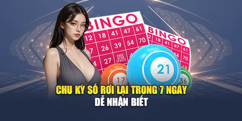 Cách Soi Cầu Bạc Nhớ 7 Ngày Từ Chuyên Gia Chuẩn Xác 1 Chu kỳ số rơi lại trong 7 ngày dễ nhận biết