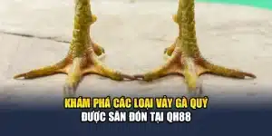 Khám Phá Các Loại Vảy Gà Quý Được Săn Đón Tại QH88