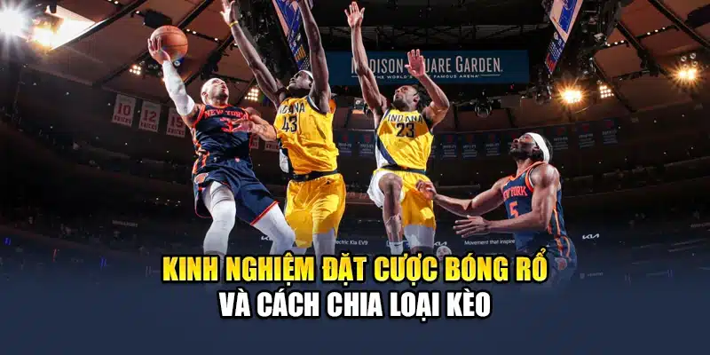 Kinh nghiệm đặt cược bóng rổ và cách chia loại kèo