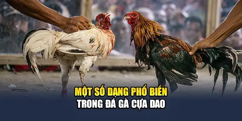 Đá Gà Cựa Dao QH88 - Trải Nghiệm Các Trận Đấu Kịch Tính Từng Phút 3 Một số dạng phổ biến trong đá gà cựa dao
