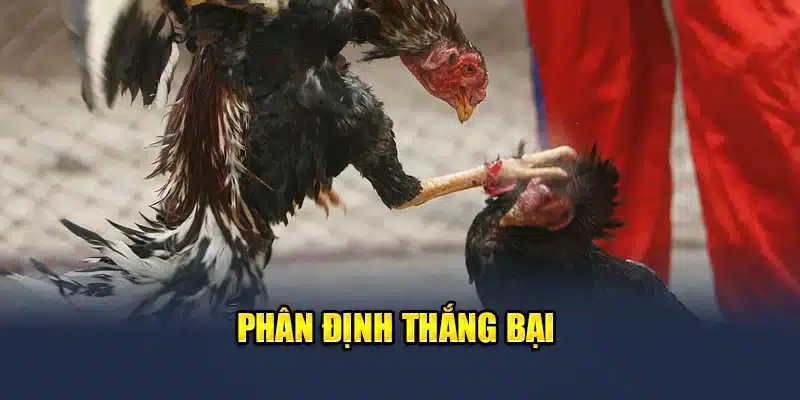 Phân định thắng bại