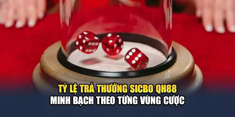 Tỷ lệ trả thưởng Sicbo QH88 minh bạch theo từng vùng cược