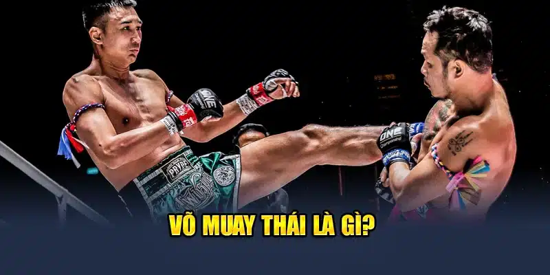 Bật Mí Top 5 Vô Địch Muay Thái Nổi Tiếng Nhất Thế Giới 1 Võ Muay Thái là gì