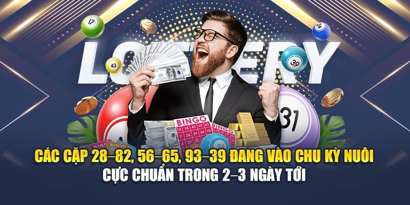 Các cặp 28–82, 56–65, 93–39 đang vào chu kỳ nuôi cực chuẩn trong 2–3 ngày tới