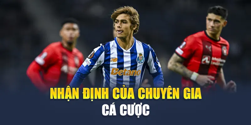 Nhận định của chuyên gia cá cược