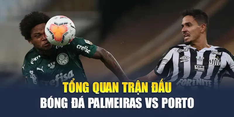 Tổng quan trận đấu bóng đá Palmeiras vs Porto